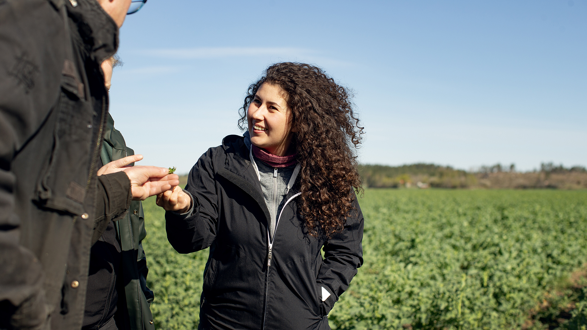 Faltvandring Samtal Oljeväxter Kvinna Juliana 092