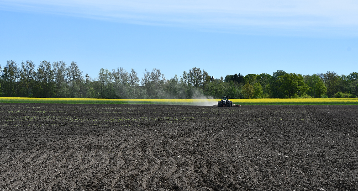 Faltforsok Vreta Foto Jenny 1 L7 426 2021