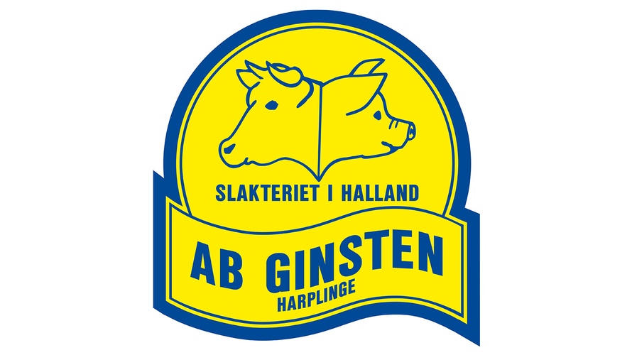 Ginsten